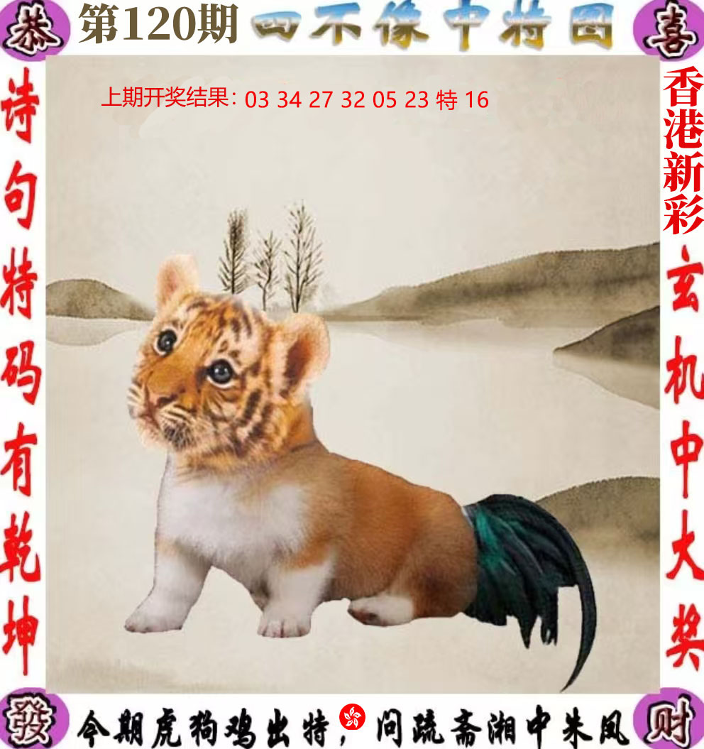 First Image