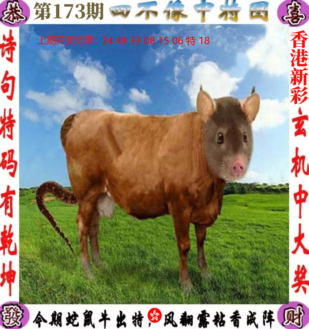 First Image