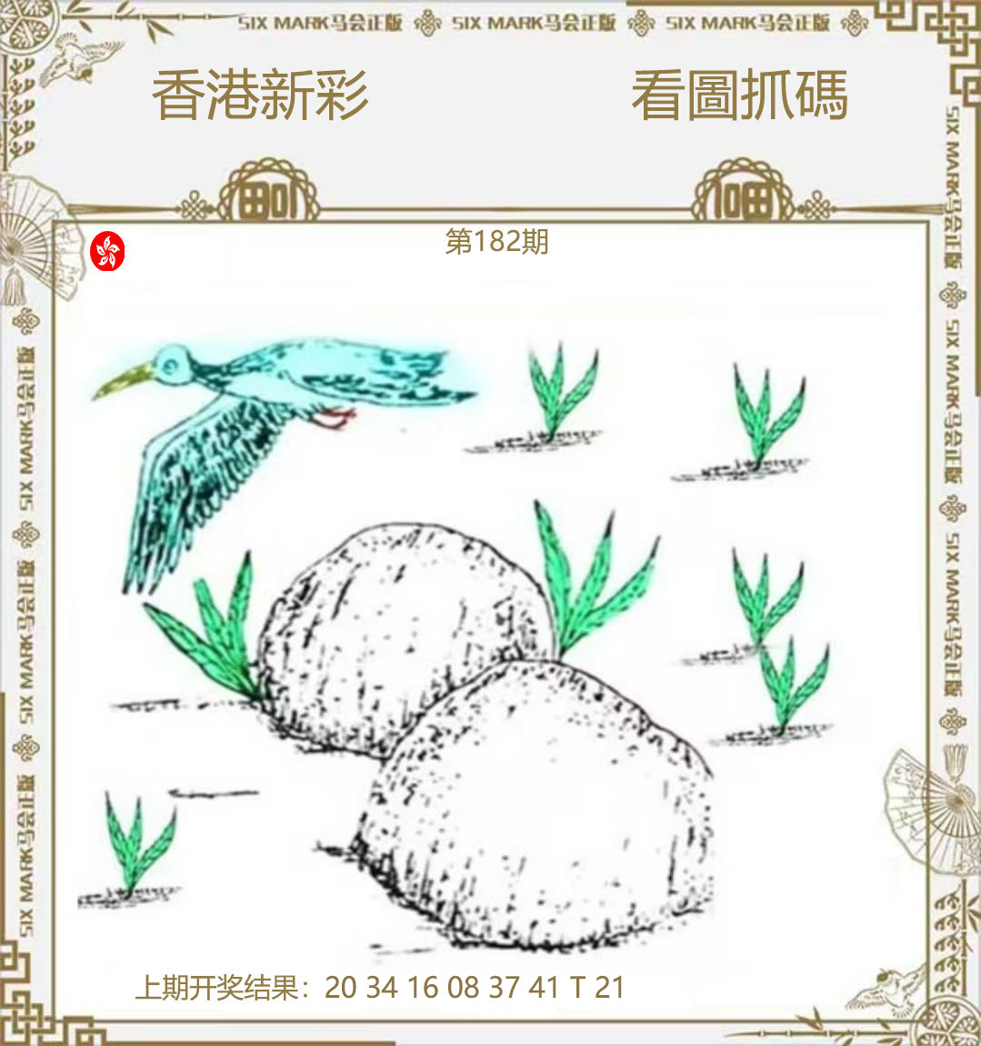 First Image