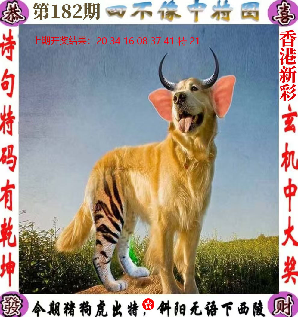 First Image