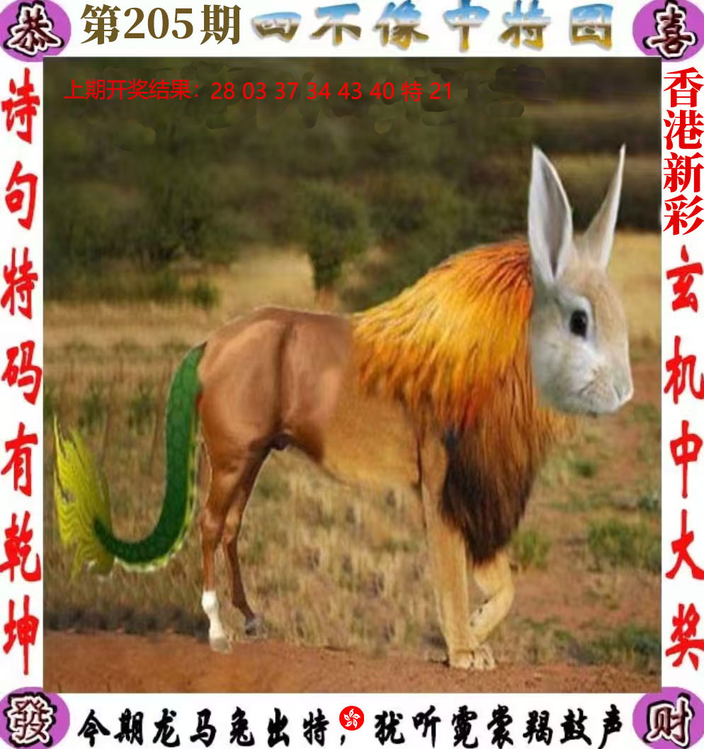 First Image